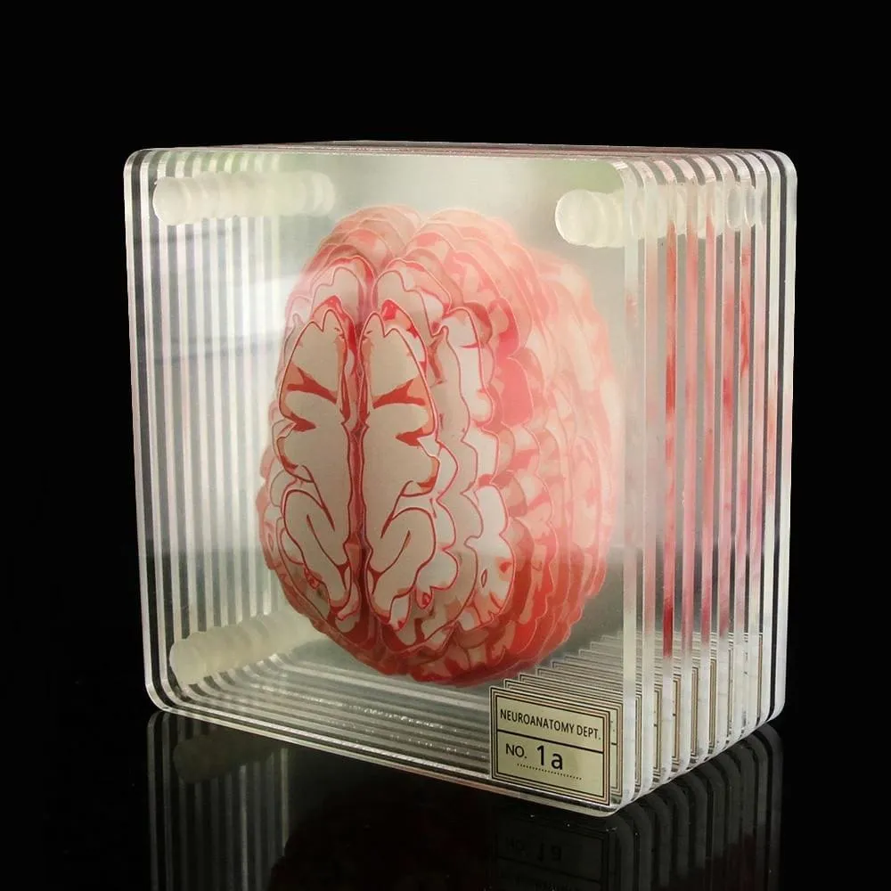 Brain Specimen Coasters Set