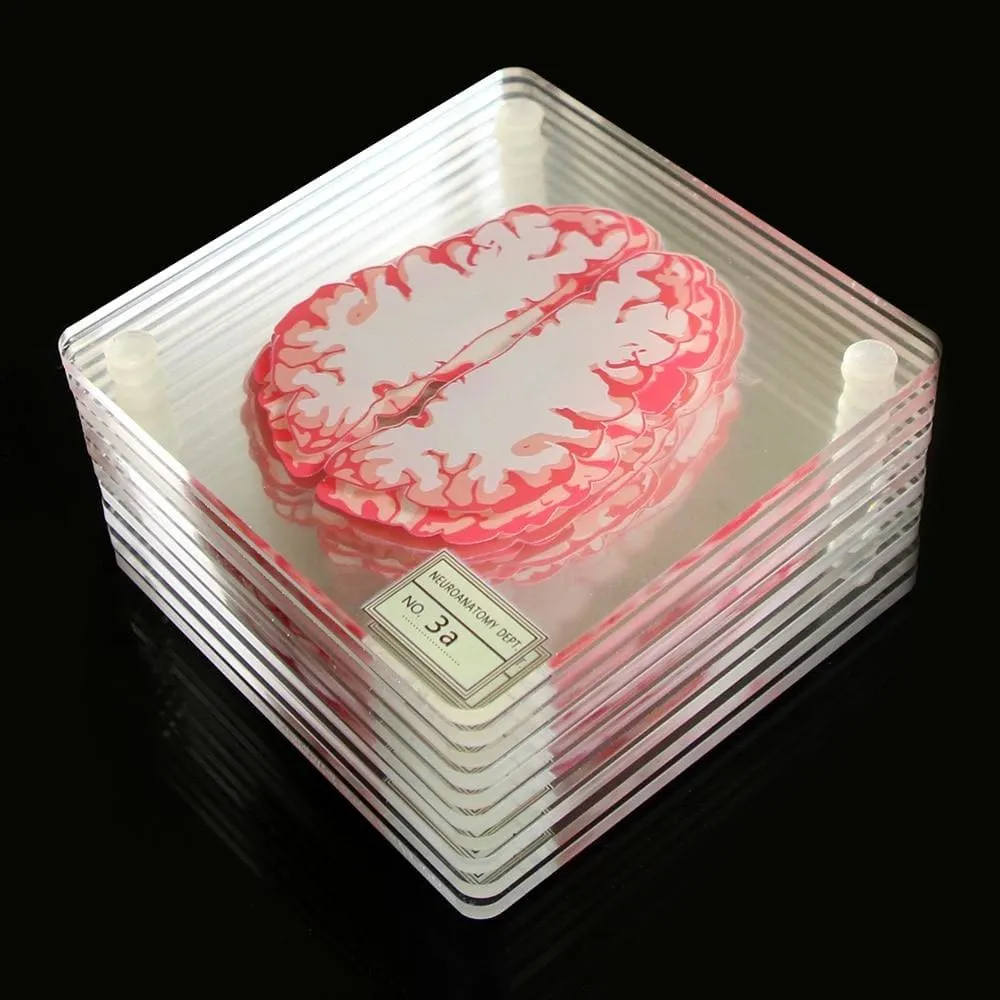 Brain Specimen Coasters Set