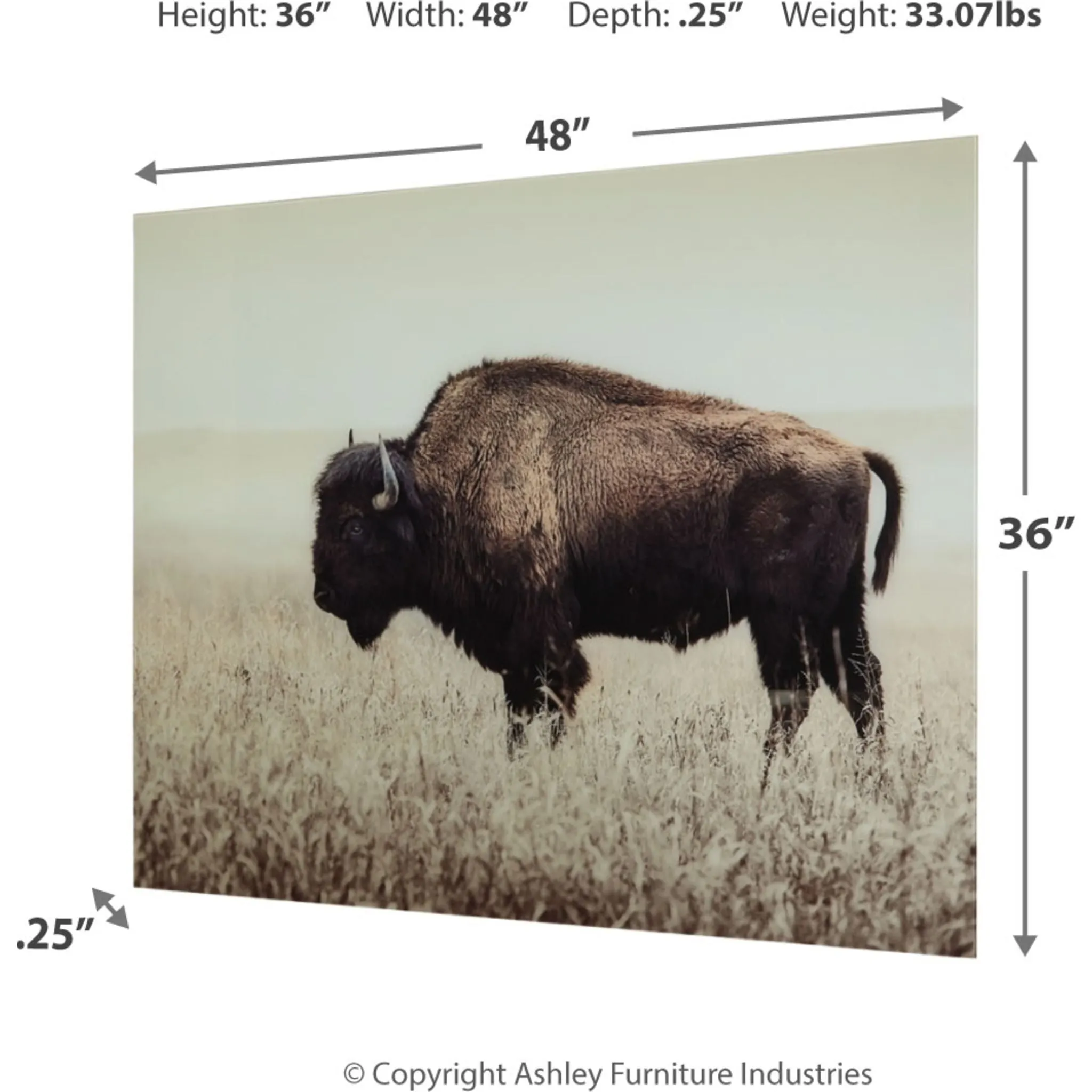 Brutus Wall Art