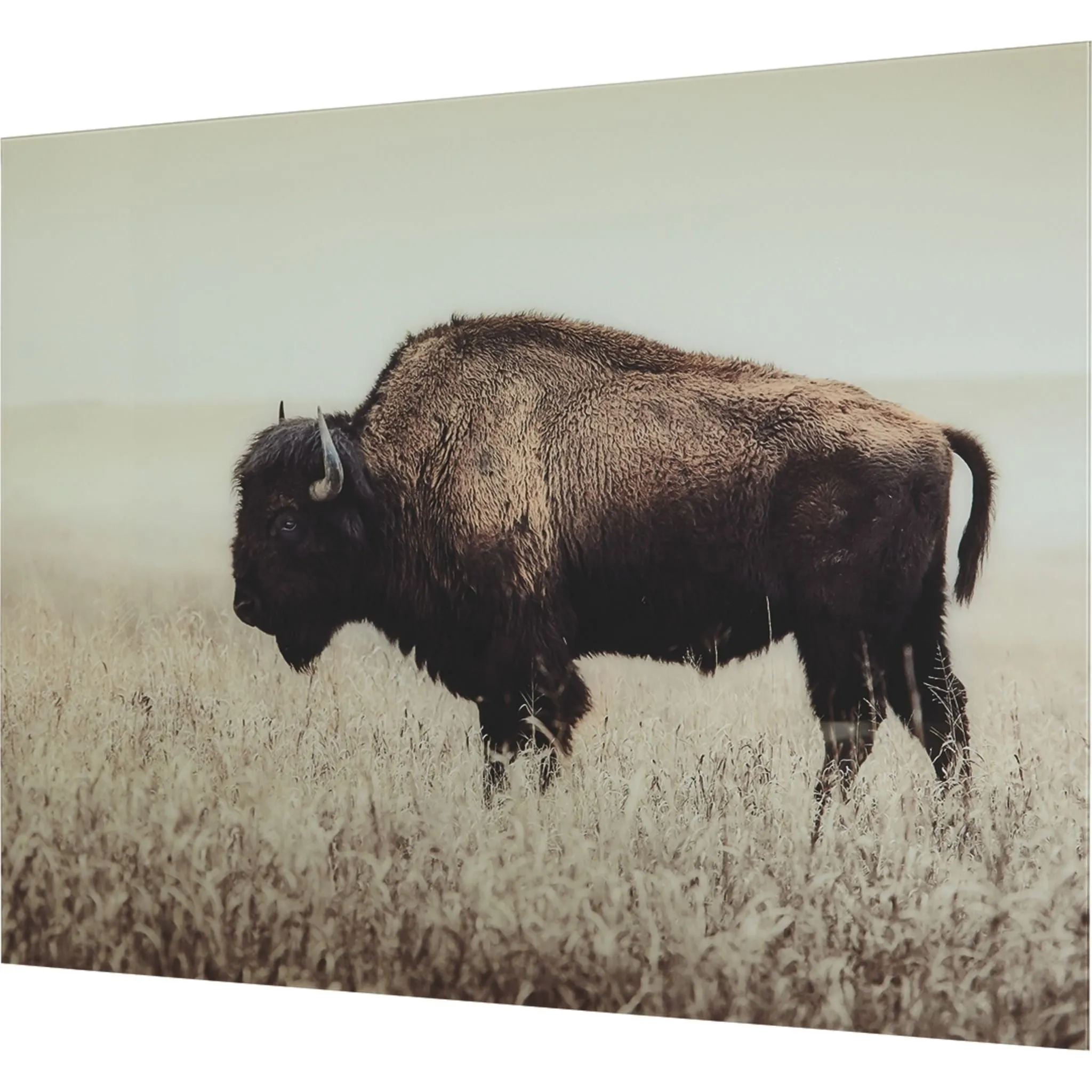 Brutus Wall Art