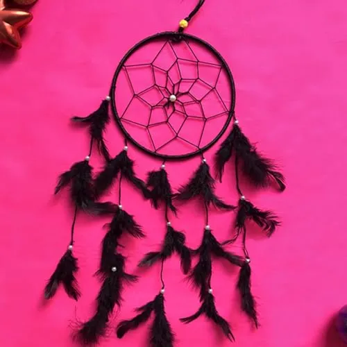 Dream Cache Handmade Feather Wall Hanging Art for Bedroom Office Balcony Garden