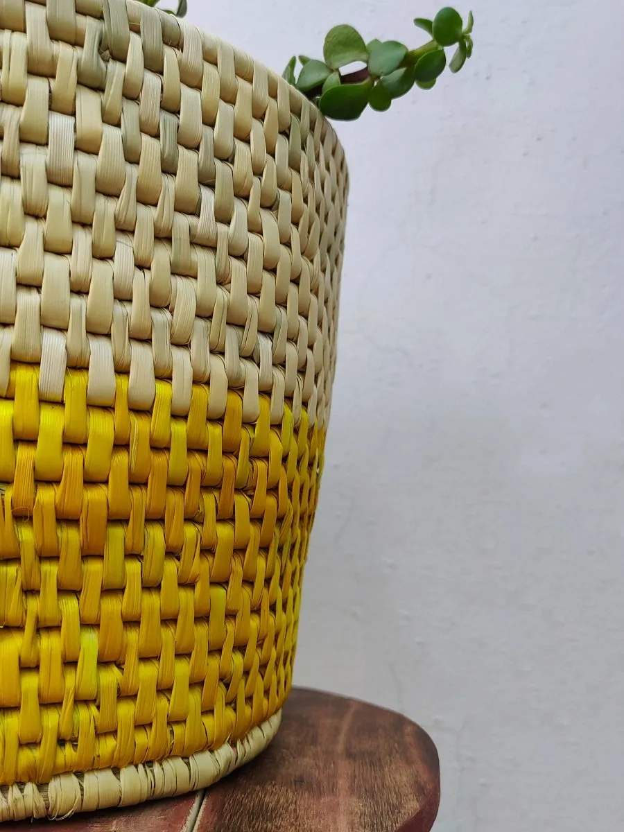 Dual Color Moonj Grass Planter - Natural Golden & Yellow