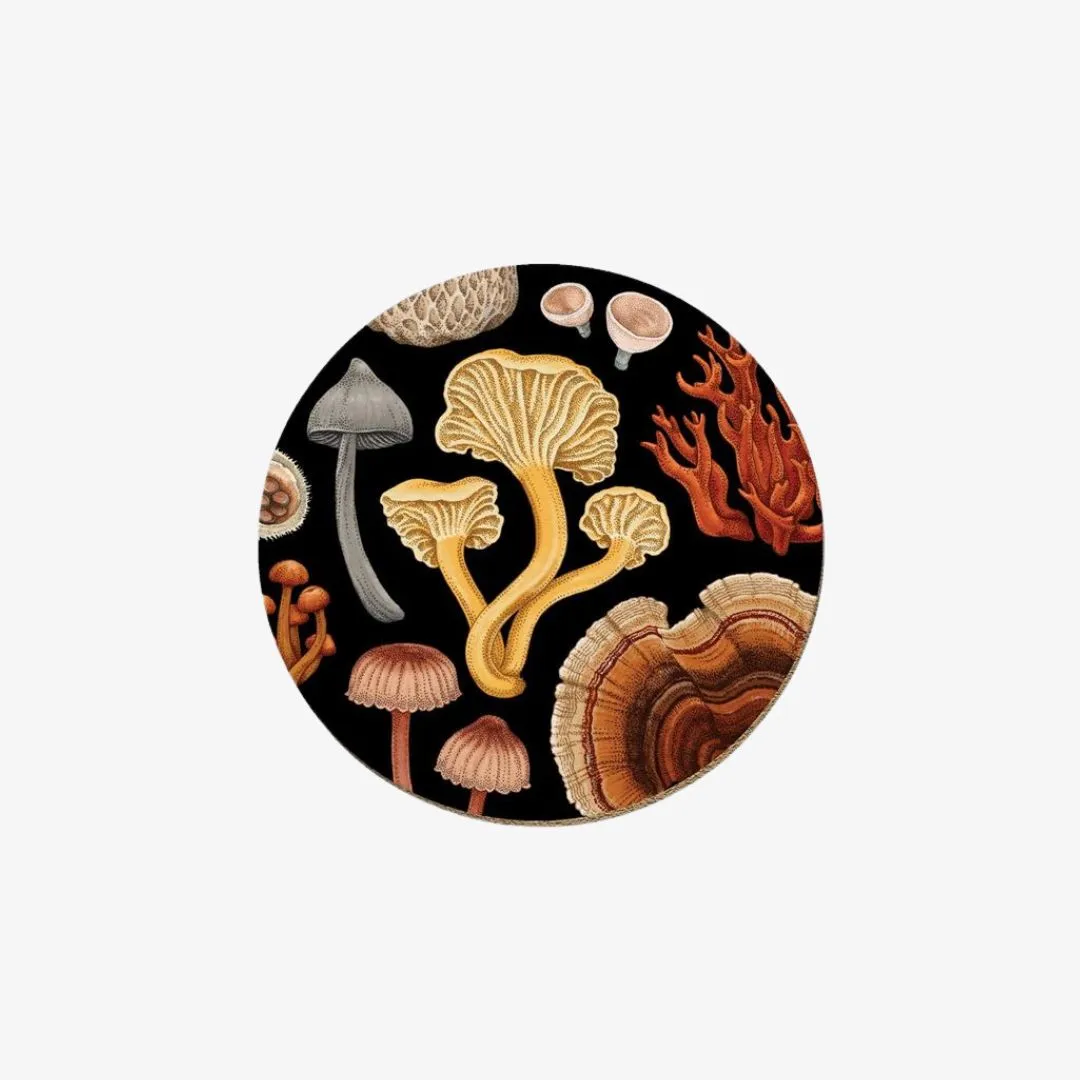 NZ Fungi Bolete Coaster